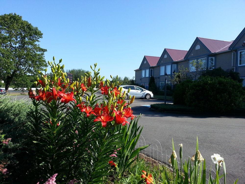 Granite Town Hotel Saint George Buitenkant foto